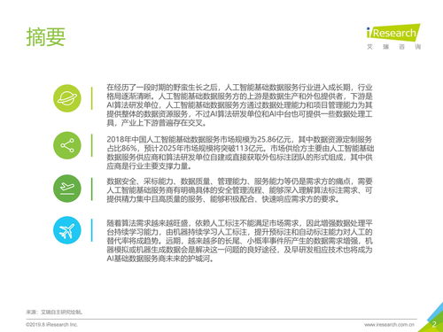 2019年中國人工智能基礎數據服務白皮書 公共數據的機遇與挑戰
